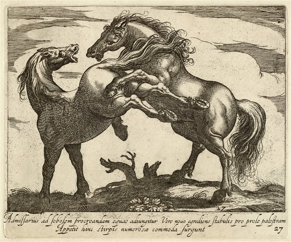 Landschap met twee paarden, beiden naar links gewend. Eén paard bokt en het andere paard steigert. NL-HlmNHA 1477 53011515