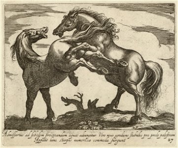 Landschap met twee paarden, beiden naar links gewend. Eén paard bokt en het andere paard steigert. NL-HlmNHA 1477 53011515