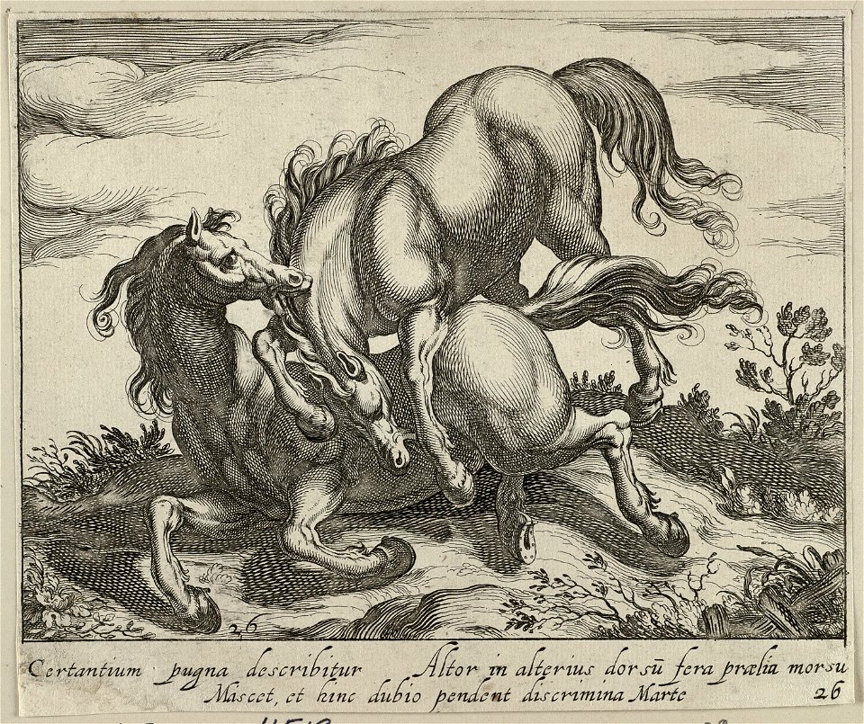 Landschap met twee vechtende paarden. NL-HlmNHA 1477 53011520