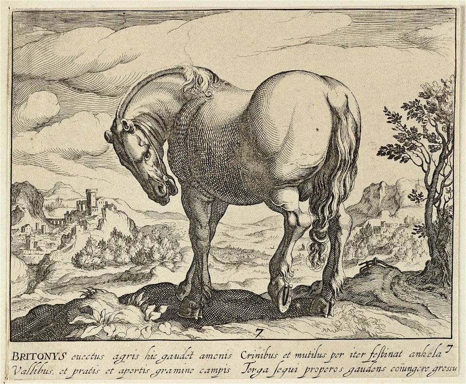 Landschap met paard uit Engeland. NL-HlmNHA 1477 53011500