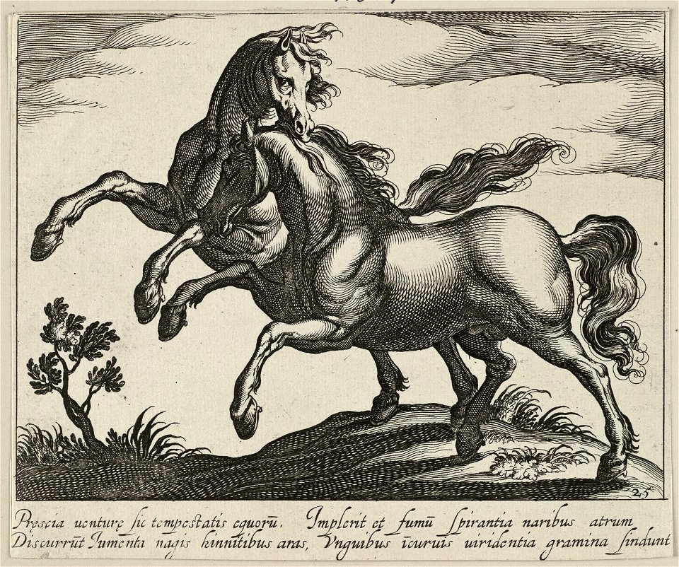 Landschap met twee galopperende paarden. NL-HlmNHA 1477 53011519