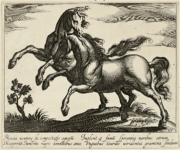 Landschap met twee galopperende paarden. NL-HlmNHA 1477 53011519