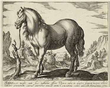Landschap met paard uit Toscane. NL-HlmNHA 1477 53011496