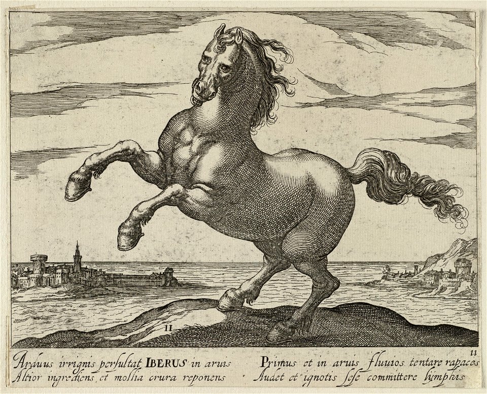Landschap met paard van het Iberisch Schiereiland. NL-HlmNHA 1477 53011504