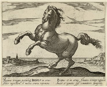Landschap met paard van het Iberisch Schiereiland. NL-HlmNHA 1477 53011504