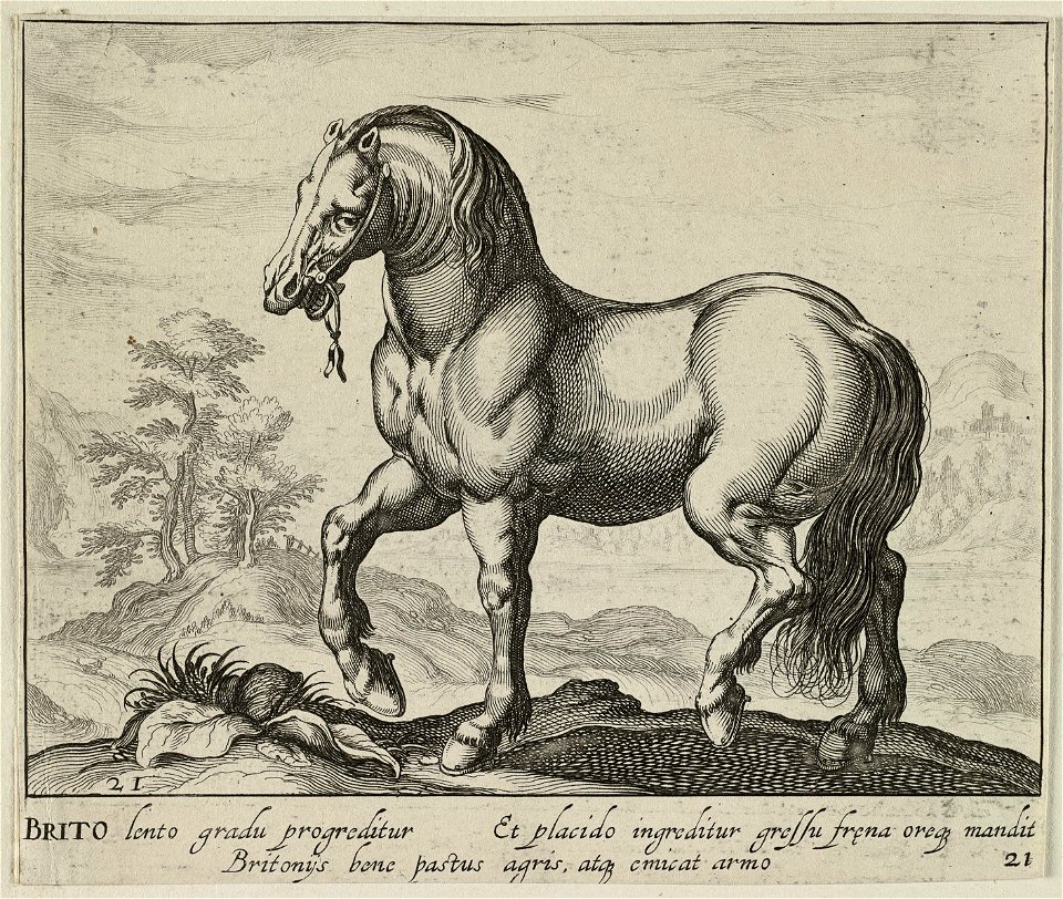 Landschap met paard uit Engeland. NL-HlmNHA 1477 53011513