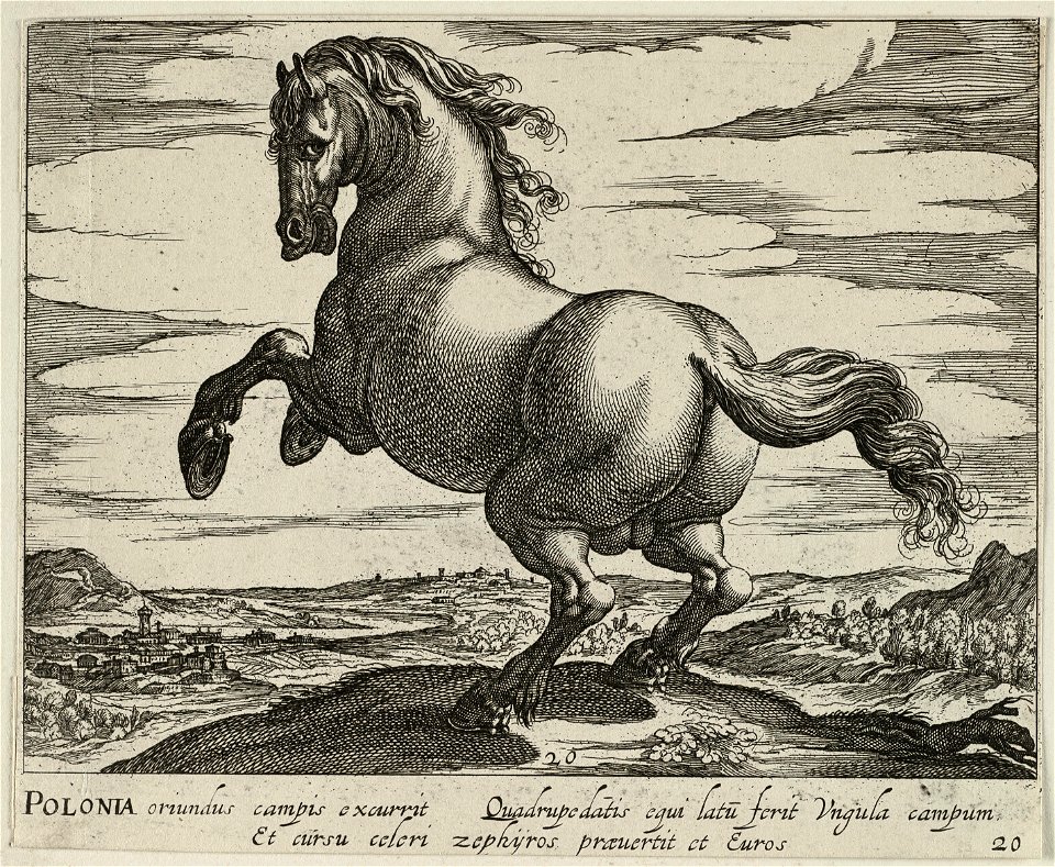 Landschap met paard uit Polen. NL-HlmNHA 1477 53011512