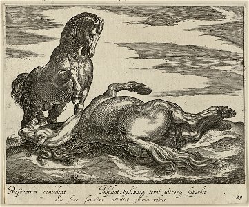 Landschap met twee paarden. NL-HlmNHA 1477 53011521