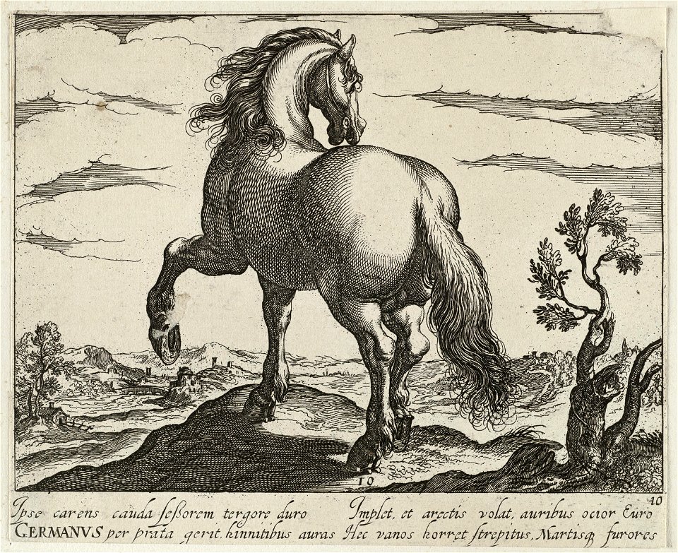 Landschap met paard uit Duitsland. NL-HlmNHA 1477 53011503