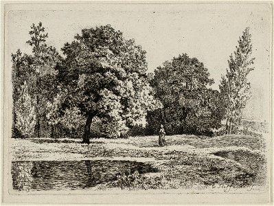 Landschap met bomen, meer en een vrouw. NL-HlmNHA 1477 53012084