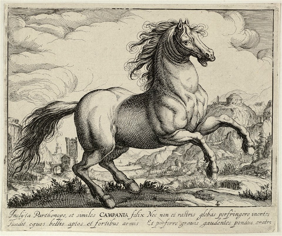 Landschap met paard uit Campania. NL-HlmNHA 1477 53011497