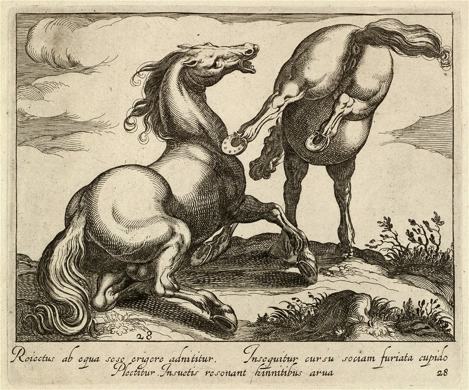 Landschap met twee paarden op een heuvel, één van hen ligt, naar rechts gewend. Het andere paard bokt en is op de rug gezien. NL-HlmNHA 1477 53011516