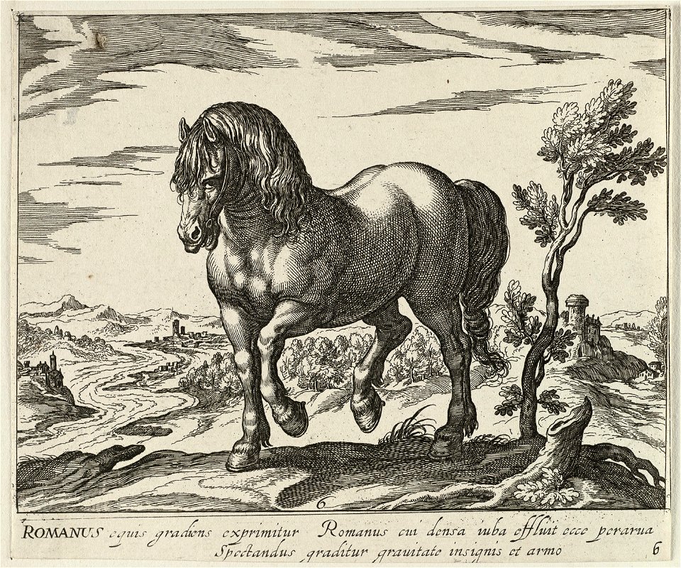 Landschap met paard uit Rome. NL-HlmNHA 1477 53011499