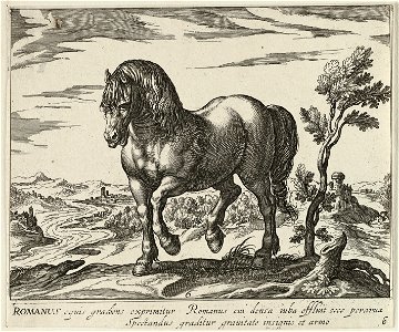 Landschap met paard uit Rome. NL-HlmNHA 1477 53011499