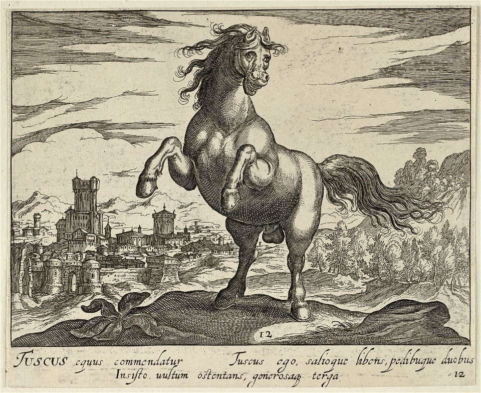 Landschap met paard uit Toscane. NL-HlmNHA 1477 53011505