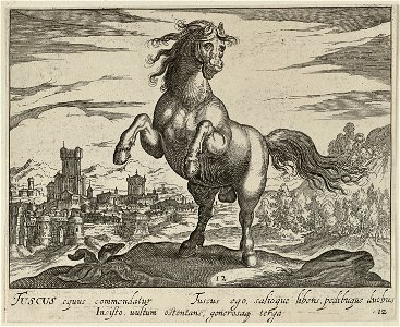 Landschap met paard uit Toscane. NL-HlmNHA 1477 53011505