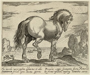 Landschap met paard uit Sardinië. NL-HlmNHA 1477 53011502