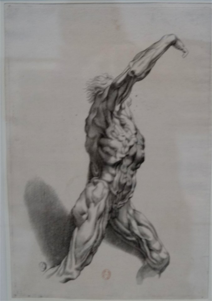 Louvre-Lens - L'Europe de Rubens - 117 - Écorché