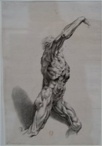 Louvre-Lens - L'Europe de Rubens - 117 - Écorché