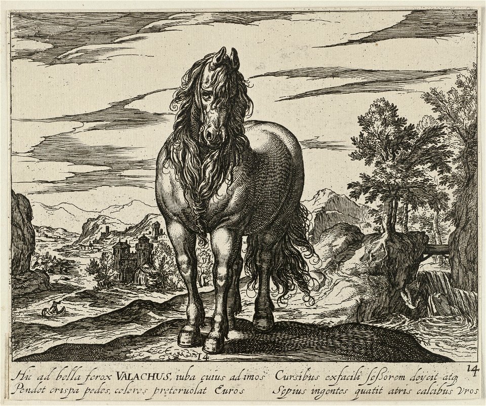 Landschap met paard uit Roemenië. NL-HlmNHA 1477 53011506