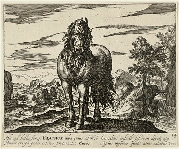 Landschap met paard uit Roemenië. NL-HlmNHA 1477 53011506