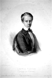 Ludwig Viktor Erzherzog Litho
