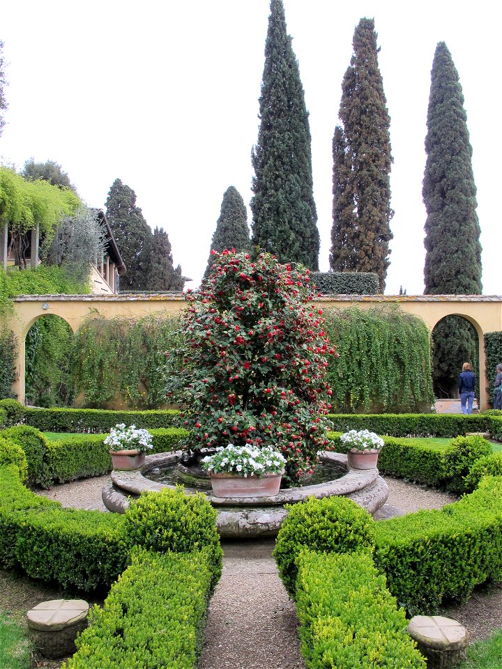 Le balze, giardino d'inverno 08