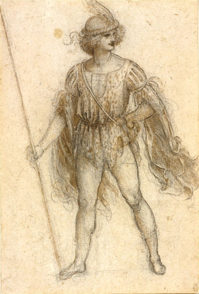 Leonardo fancydress costume