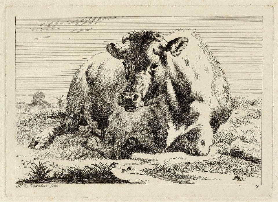 Liggende koe in een landschap. NL-HlmNHA 1477 53012177