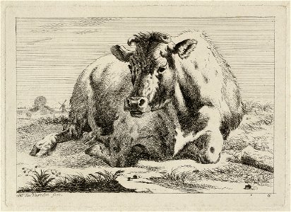 Liggende koe in een landschap. NL-HlmNHA 1477 53012177