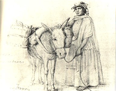 Martin Tovar y Tovar 19