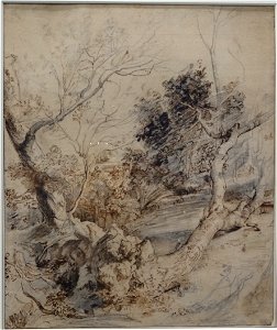 Louvre-Lens - L'Europe de Rubens - 095 - Étude d'arbres
