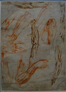 Louvre-Lens - L'Europe de Rubens - 133 - Études anatomiques de bras, mains et jambes
