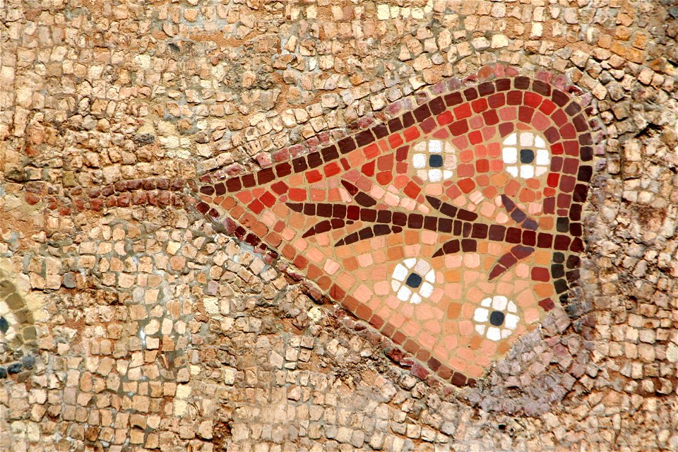 Mosaic de peixos de la Pineda2