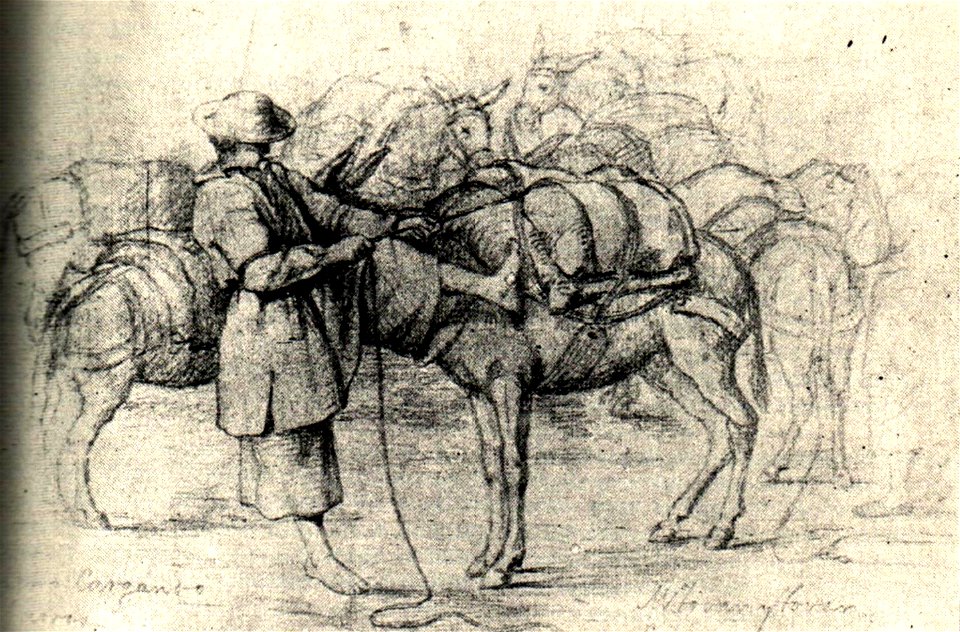 Martin Tovar y Tovar 14
