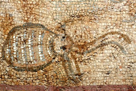 Mosaic de peixos de la Pineda4