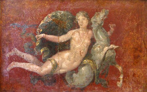 Nereide-su-cavallo-marino