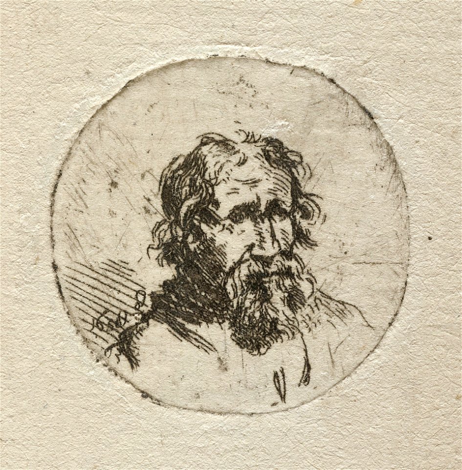 Medaillonportret van een oude man met baard. NL-HlmNHA 1477 53010343