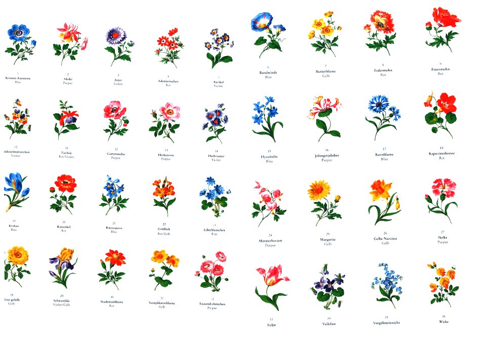 Meißen-Blumen-Vorlagen