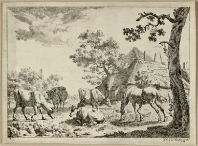 Melkende boerin bij koeien voor een boerderij. NL-HlmNHA 1477 53012144