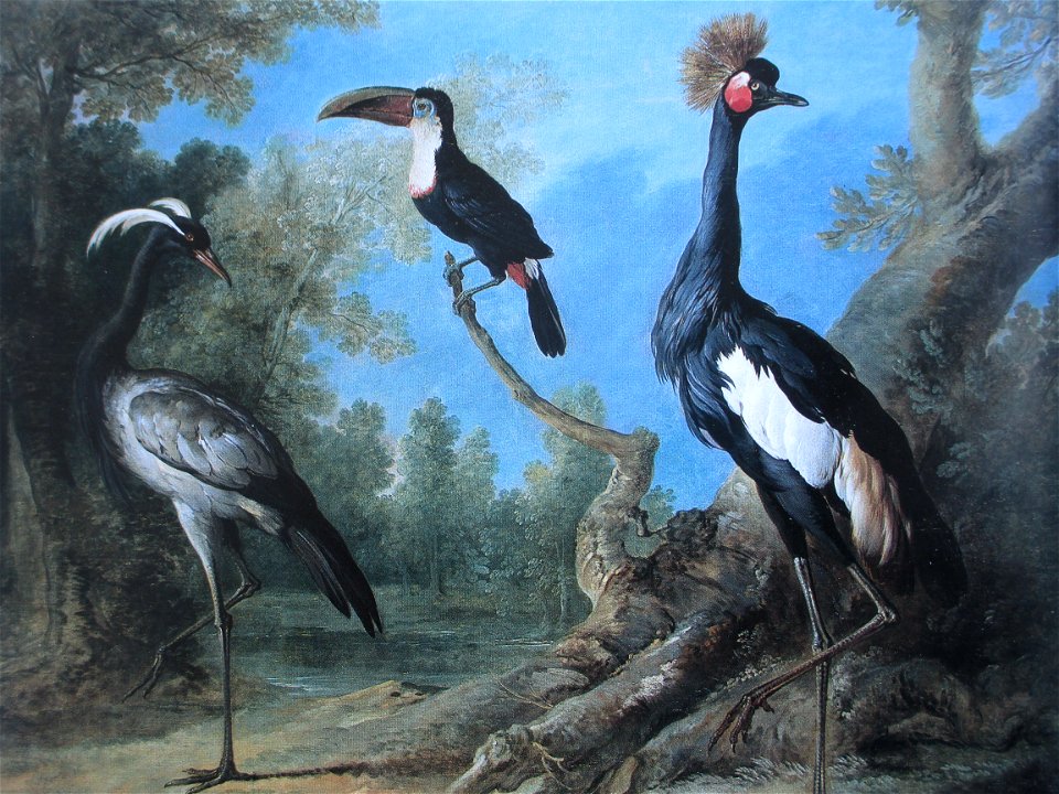 Oudry Demoiselle
