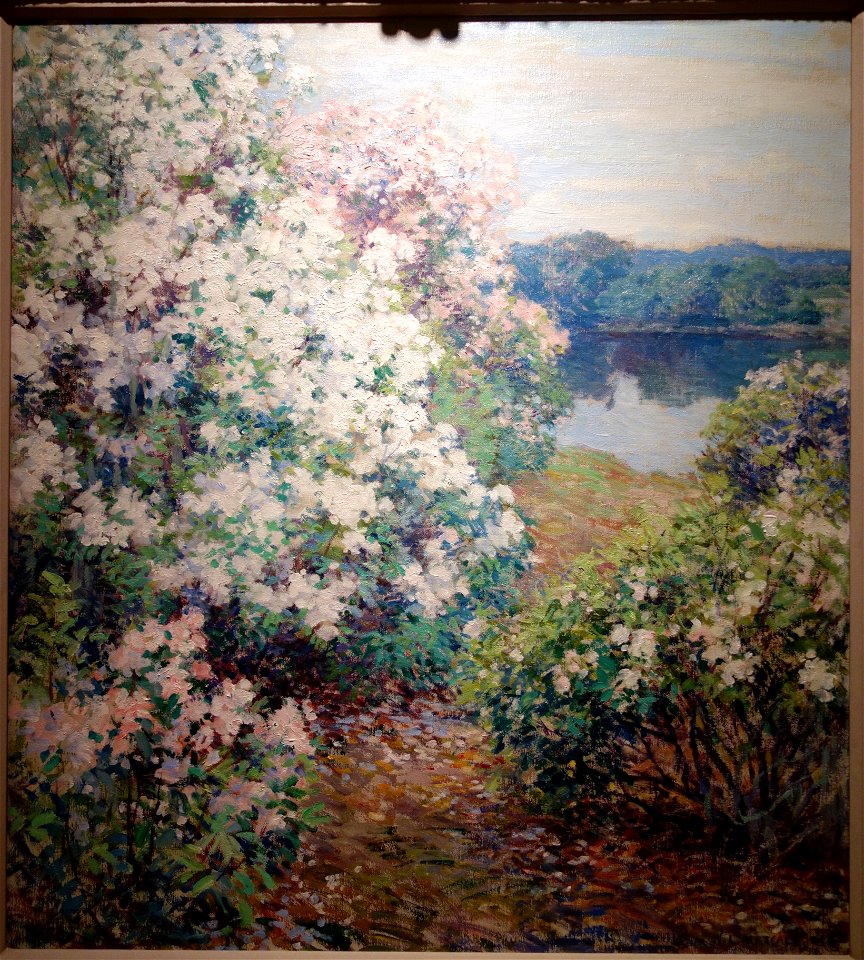 Mountain Laurel by Willard Leroy Metcalf, 1905, oil on canvas - New Britain Museum of American Art - DSC09525