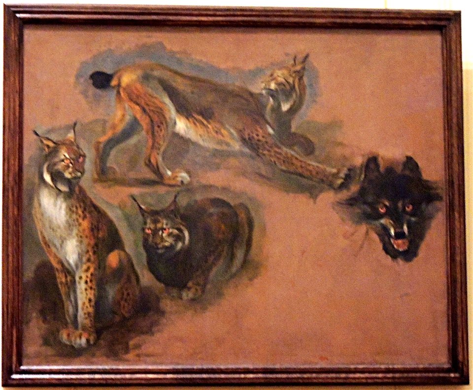 Musee des Beaux-Arts Rennes Lynx et loup