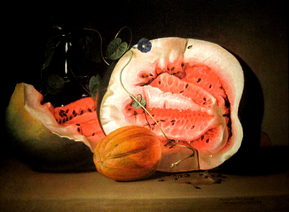 Melons and Morning Glories