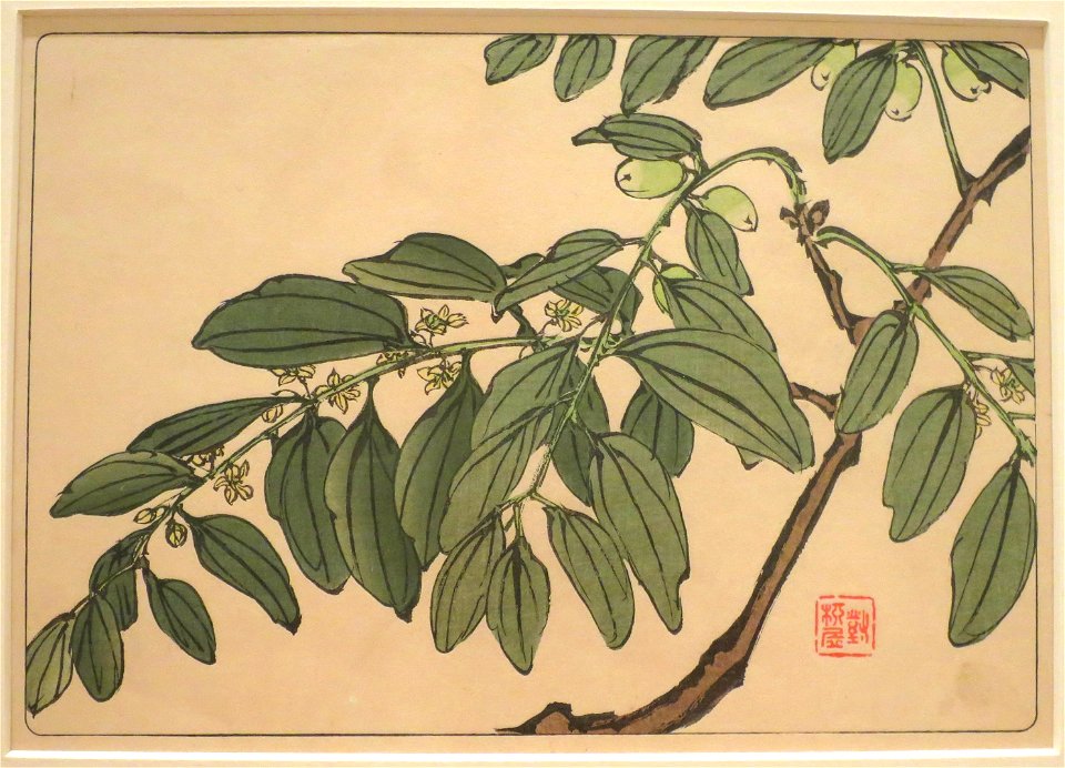 Olive Branch by Shibata Zeshin from Comparing Flowers, Volume 6