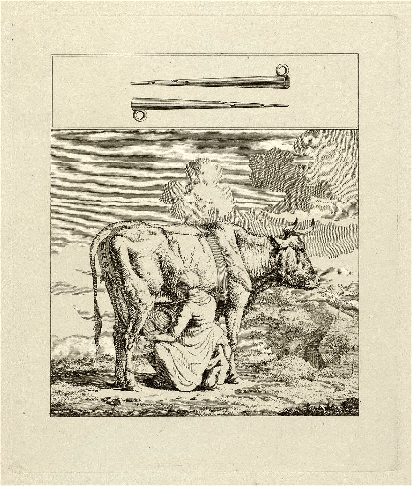 Melkende boerin. NL-HlmNHA 1477 53012166