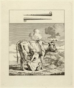 Melkende boerin. NL-HlmNHA 1477 53012166