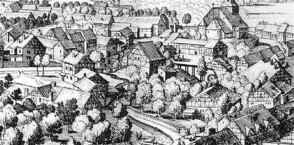 Merian 4