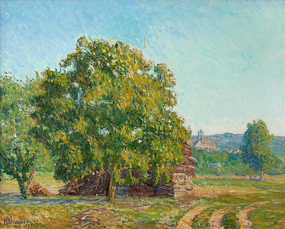 Paysage au bouquet d'arbres