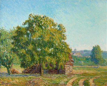 Paysage au bouquet d'arbres